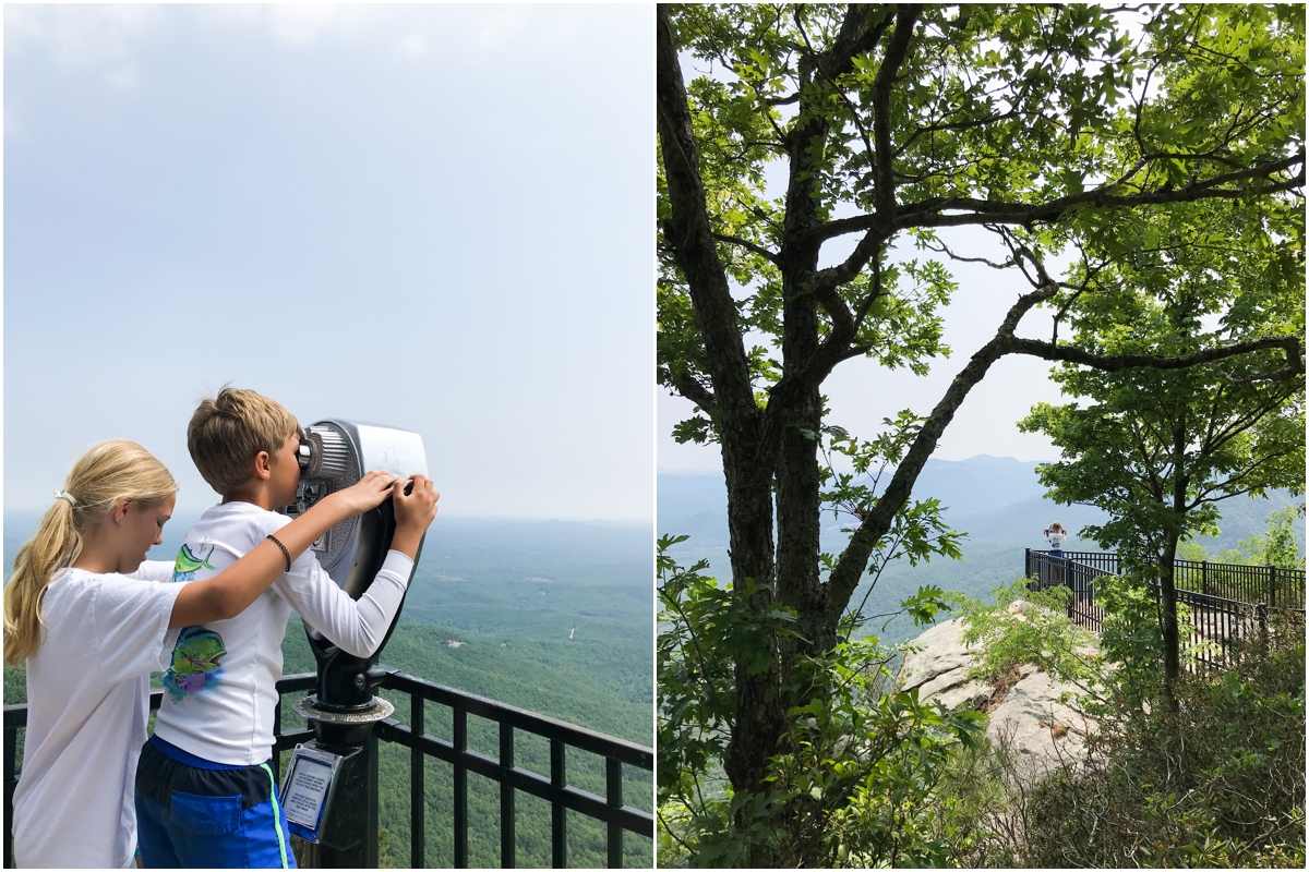 Summer day Caesar's Head Lookout