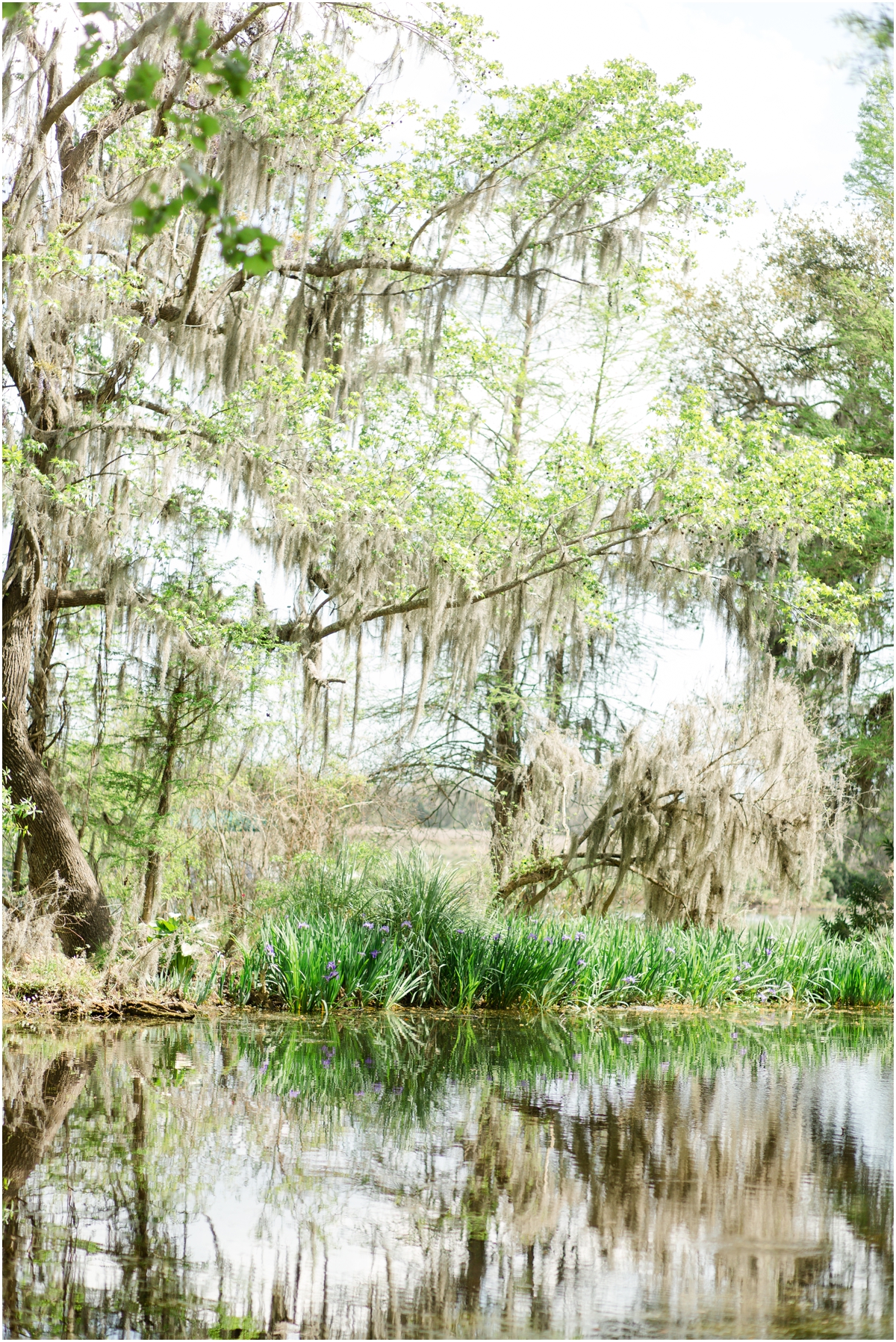 Magnolia Plantation and Gardens in Charleston, South Carolina | Jacqueline & Laura | Charleston Wedding Photographer