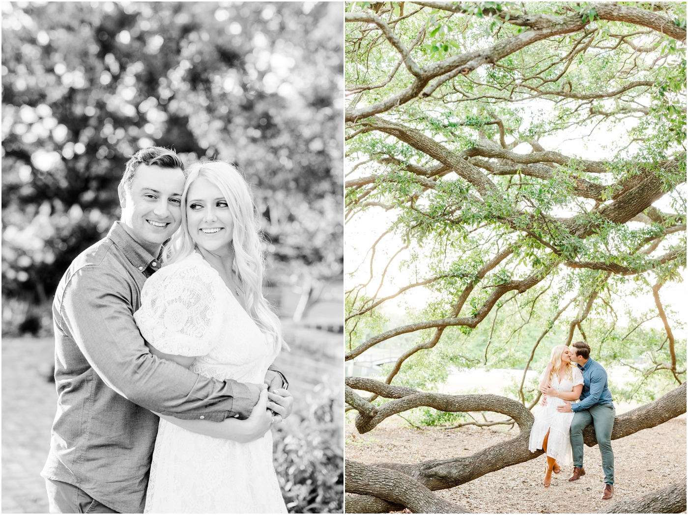 couple sitting on tree branches for engagement photos at Hampton Park in charleston sc 