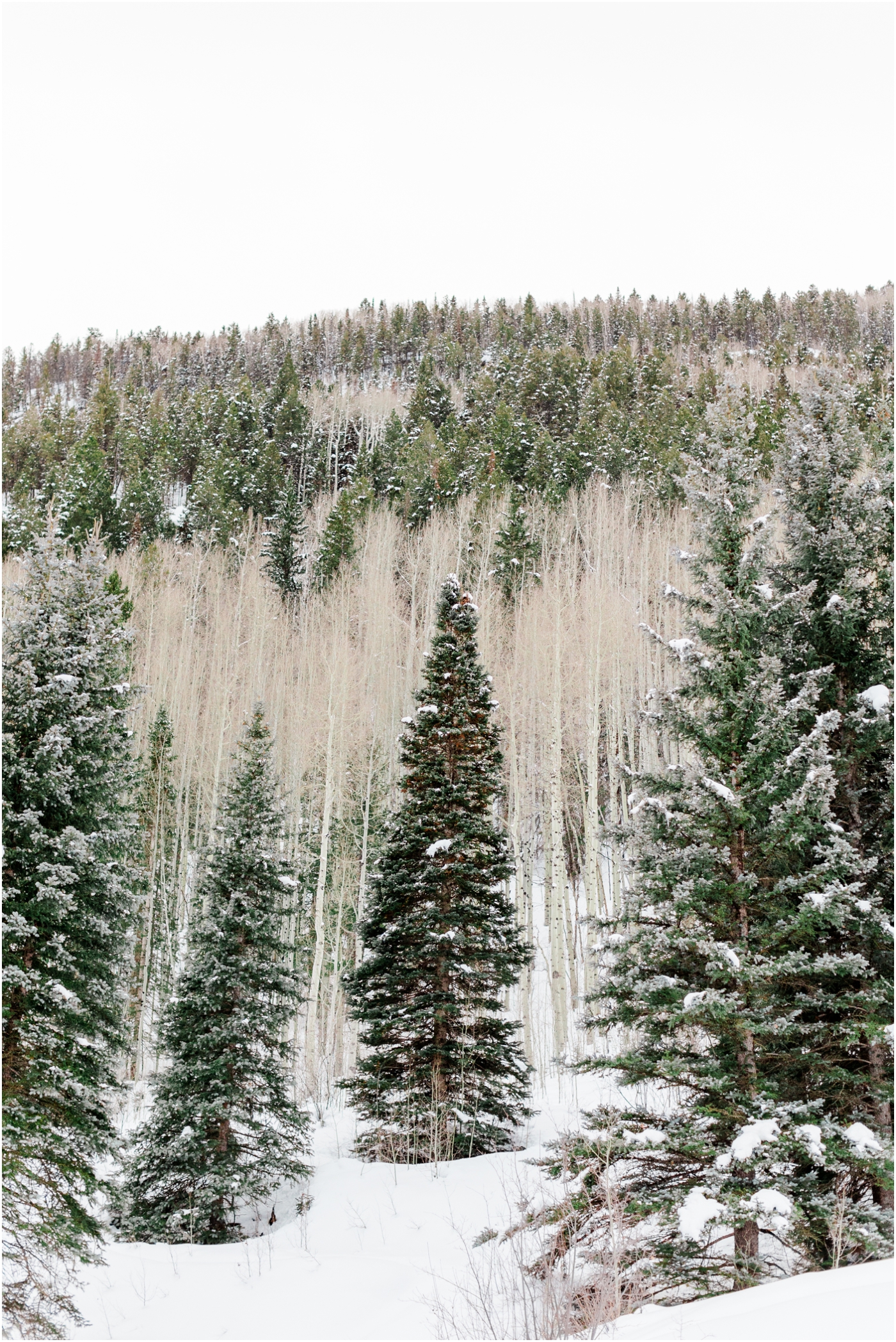 Telluride CO wedding photographer